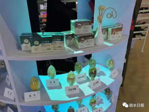 借力国际展会，丽水产品与平台服务双双走出国门 理念先行如何精准匹配外商胃口？